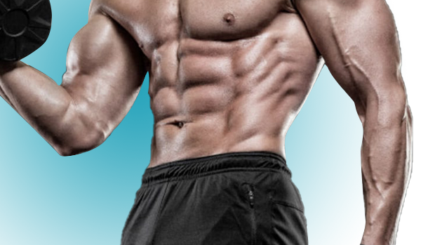 abdominal muscle patches