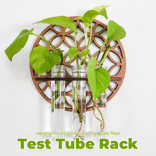 🌿 HANGING ROUND SOLID WOOD TEST TUBE RACK 🌿