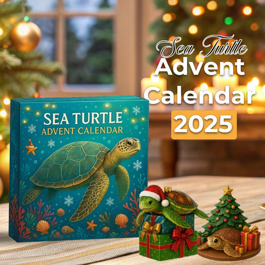 🌊🐢 Meeresschildkröten-Adventskalender 2025