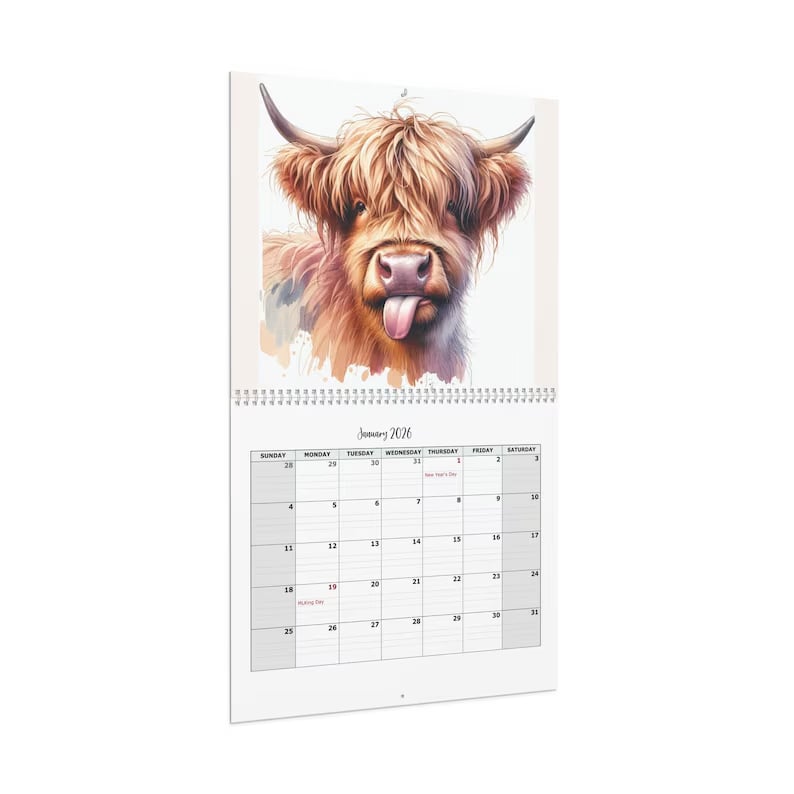 🐮Hochlandrinderkalender 2026📅