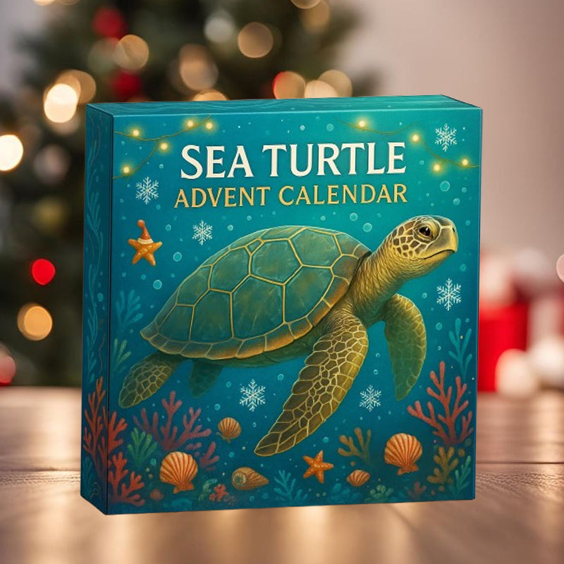 🌊🐢 Meeresschildkröten-Adventskalender 2025