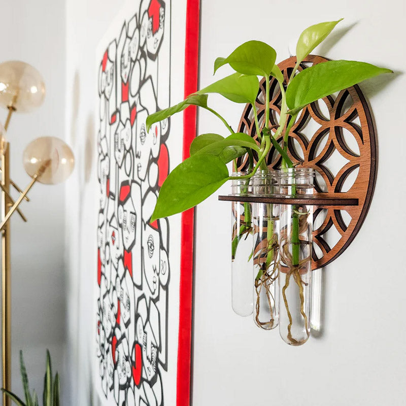 🌿 HANGING ROUND SOLID WOOD TEST TUBE RACK 🌿