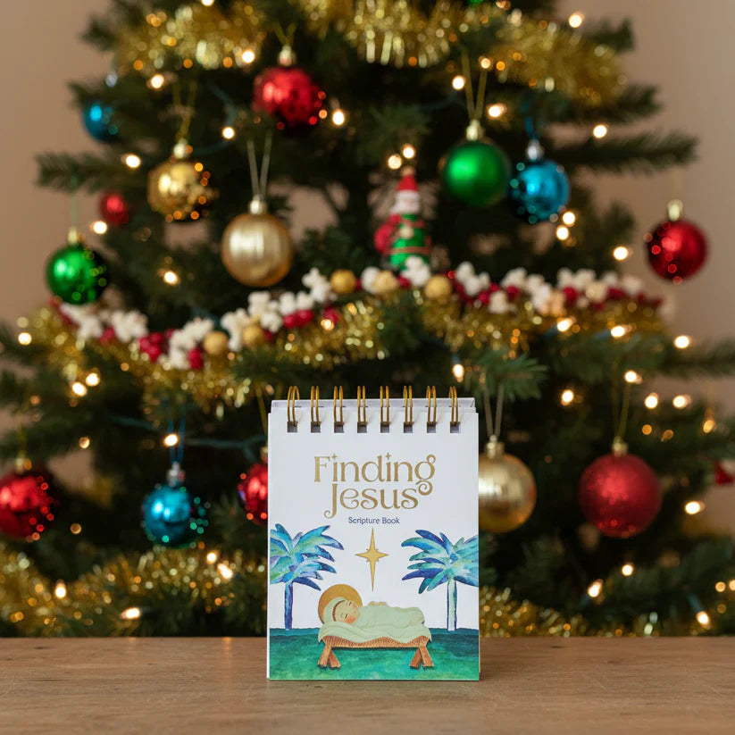 BLACK FRIDAY ANGEBOT: Jesus finden – Countdown bis Weihnachten