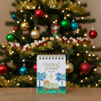 BLACK FRIDAY ANGEBOT: Jesus finden – Countdown bis Weihnachten